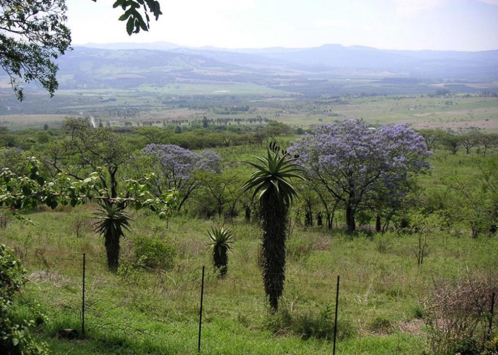 Mon Desir Villa Pietermaritzburg Esterno foto